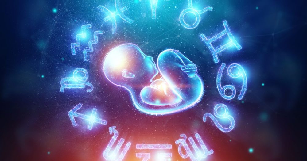 Children & Family Life